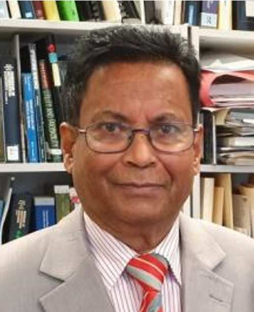 Professor Sardar M. N. Islam (Naz)